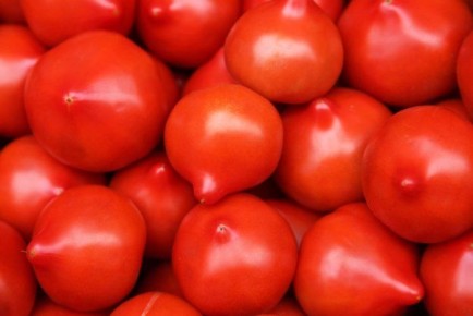 ����� ������: ��������� ����� ��� ��������� ���������� ������