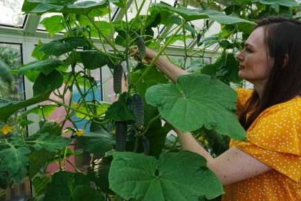 ��� ������� ����� ��� ������� � �������� ��������