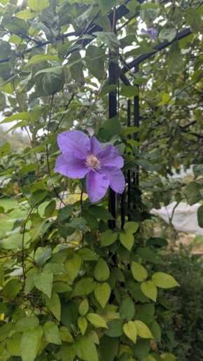 ������������ ��������, ������� ������� ������� ������ ����