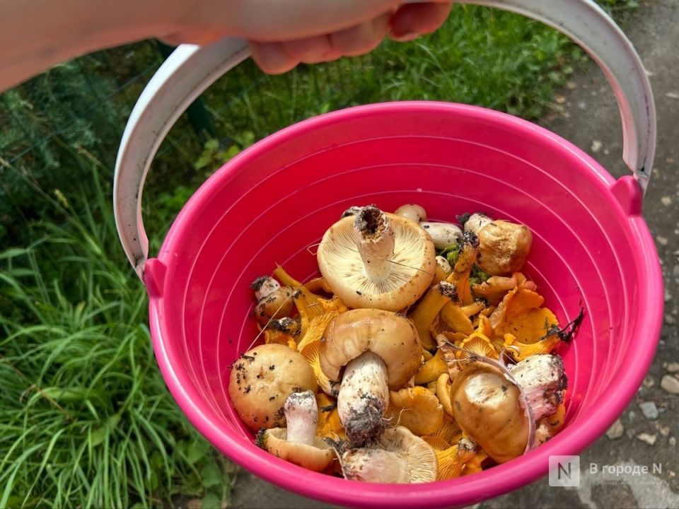 ����������� ���������� �������� ����� � ����� � ����� �������