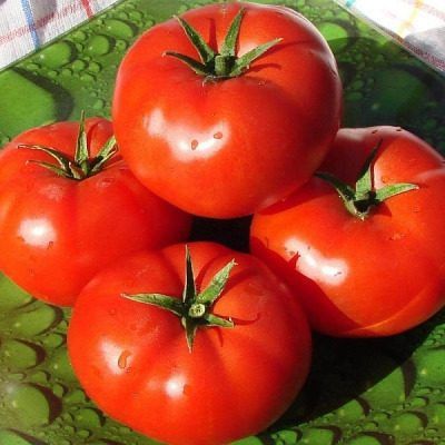 ����� ������� ��������: ����� ����� � ������ ������ ��� ������ �����