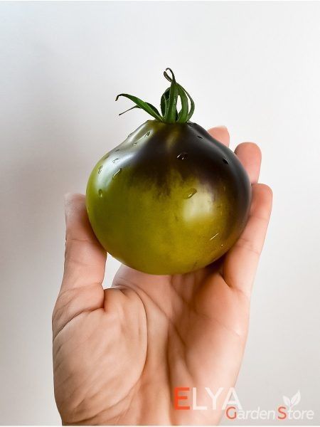 ����� �������� ��������: ��� ��������� ������������ ���� � ���������� ������