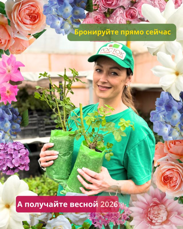 ��� ������������� � ��������� �����������: ������ �� ��������� �������