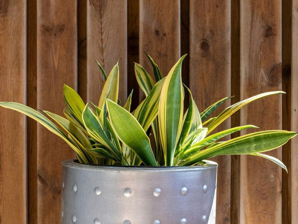 ���� � ��������: ��� ������� ������� � ���