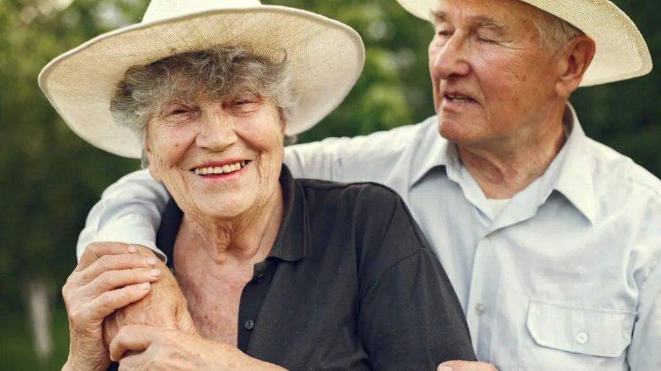 ������ ��� ����������� � ������: ��� ����� ����� � 2026 ����