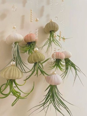 �������: ������������ ��������, ������� ����� � �������