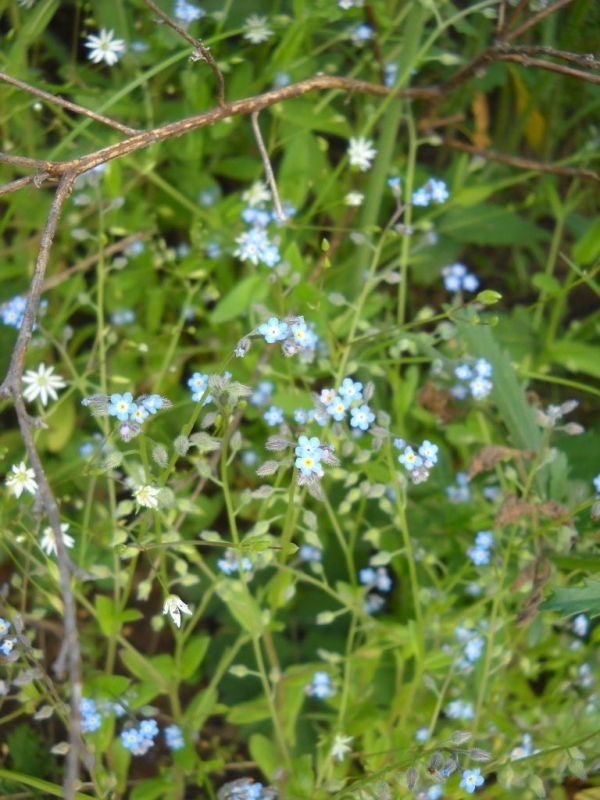 ���������: ��� ��������� ����� ����� �������� ������ � �����