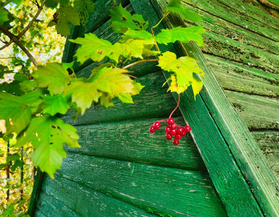 ������� �������� �� ����: ��� �������� ����� � ����� � ������