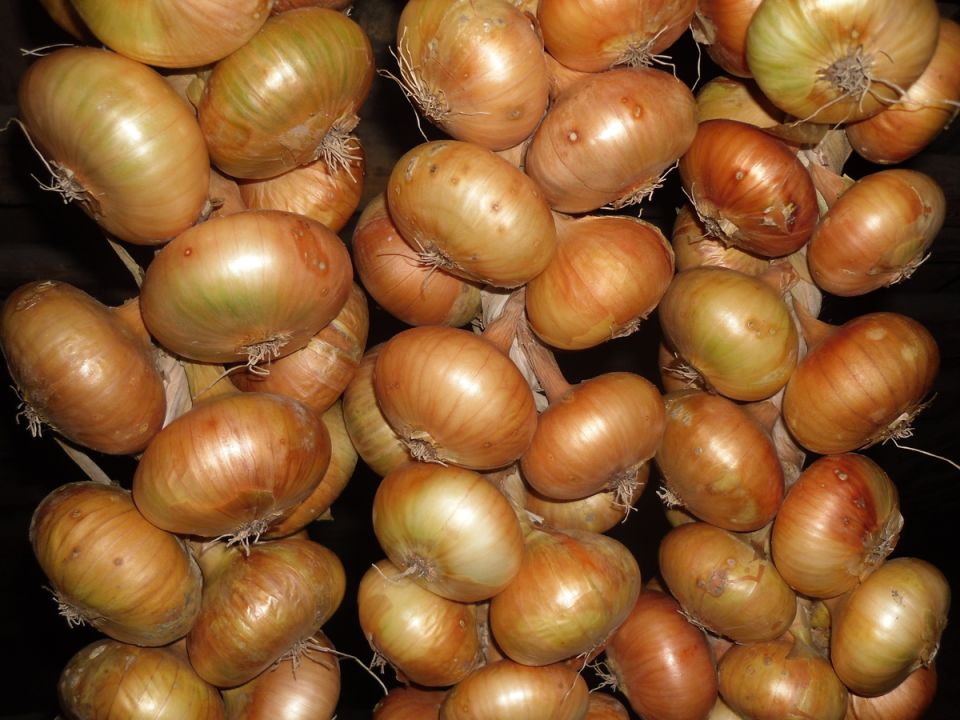 ��� ������ ����������� ���� '���������� �����': �� ������� �� �����