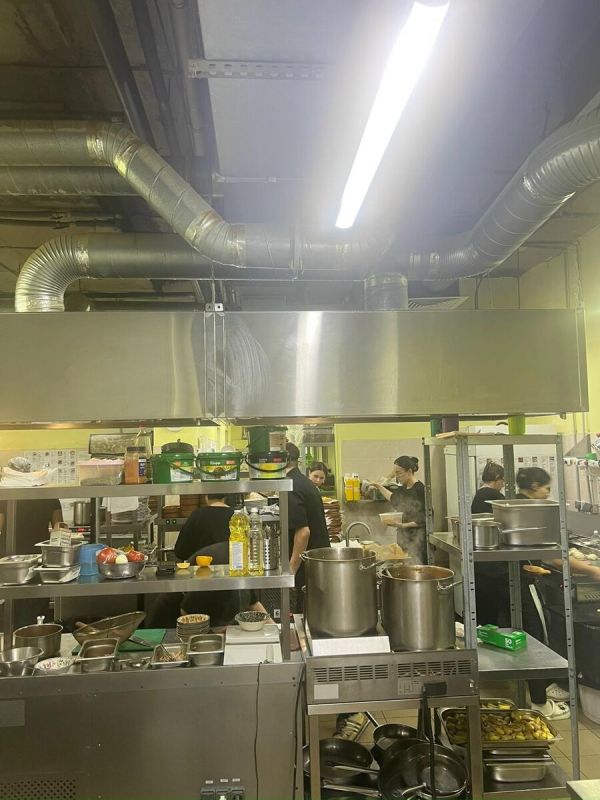 ���� ������: ������������ ����������� ����������