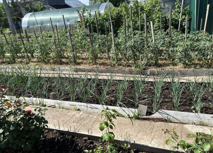 ���� � ����: �������� ������ ��� ���������� ������