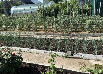 ���� � ����: �������� ������ ��� ���������� ������