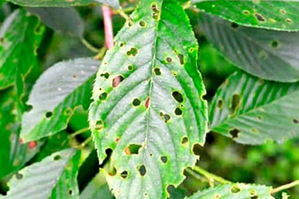 7 ������� ������, ����� ����� �� �������� ������� � ��������� (��� ���� ������ ����� �����)