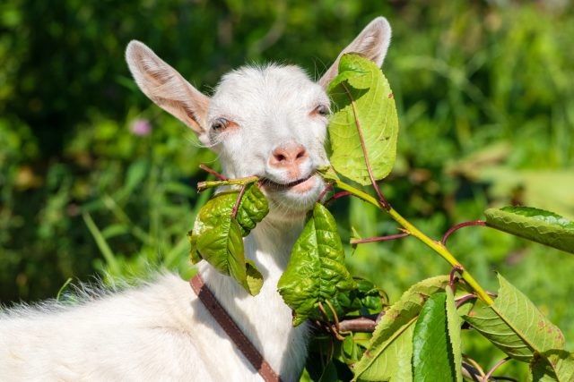 ��� ����� ����� ����� �������� ���� ��� ������ �������