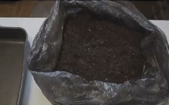 Как сохранить грунт для рассады зимой: проверенные советы