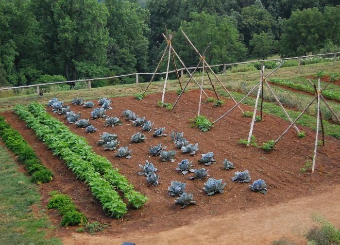 ��� ������� ������� ������ � ���� � ������������ ��������� ������