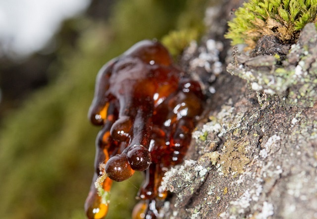 Смола на любимой вещи? 6 простых приёмов, которые реально спасают