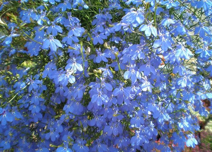 ��� �������� � ������: ������ ��� ���������� ���������