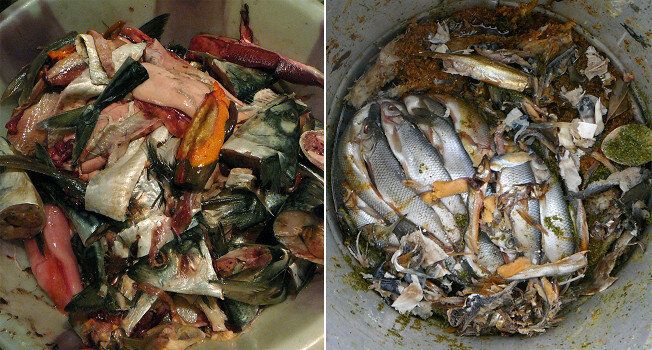 Как я повторил рецепт древнеримского гарума и удивил свою семью