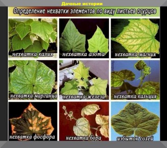 ����������� ��������� ��� ����: ��� ���������� � �� �������� ������