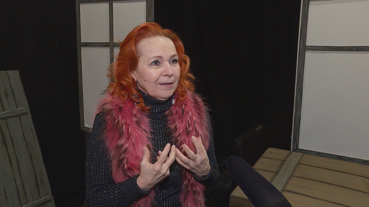 Артистка Костромского театра кукол Екатерина Соколова удостоена медали «За труды в культуре и искусстве»