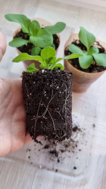 ����� � ����� ����� ����� ������� � ������?