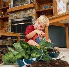 ��� ����� �� ������ ���������� ������� � ��� ��������� �����������