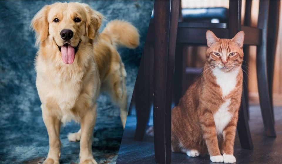 ������ ���� � ������ ��� ������? ������� ���������� ������ � �� ������