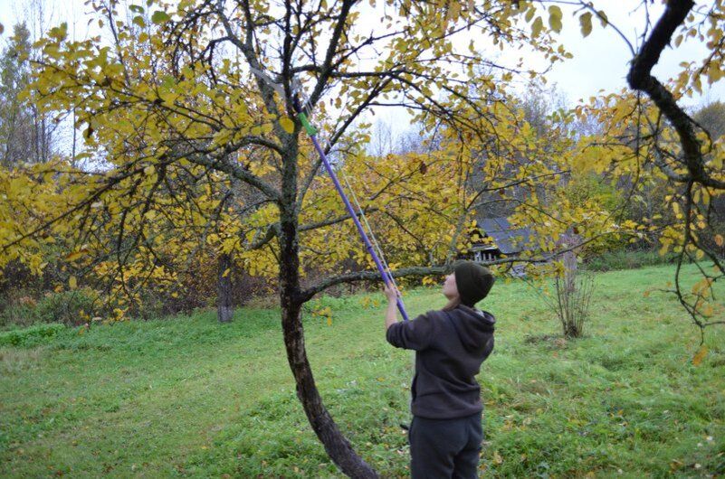 ��� ��������� �������� ������: ������� ������������ �����