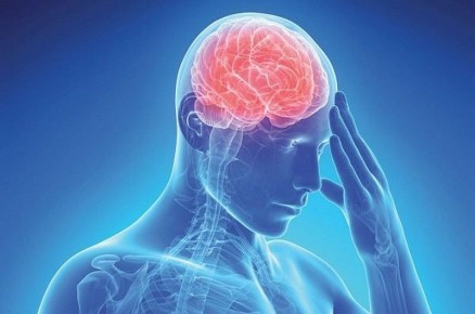 ��� �������� �������������� � �����: ��� ������� �������