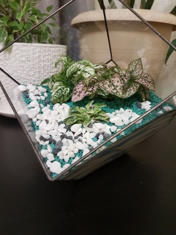 ����������� � ���������� � ��������: ����������� ������