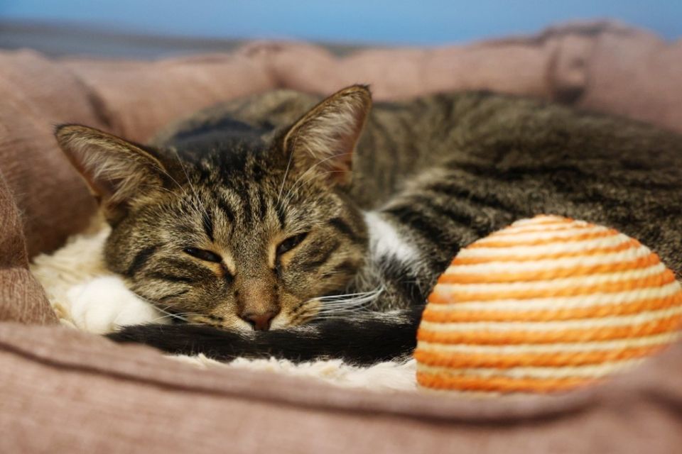 � ������ ������� � ���� ����� � ������ �������� ��������