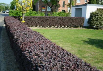 ��� ������� ��������� ����� �����: ������ ���������� ��� ��������� � �������