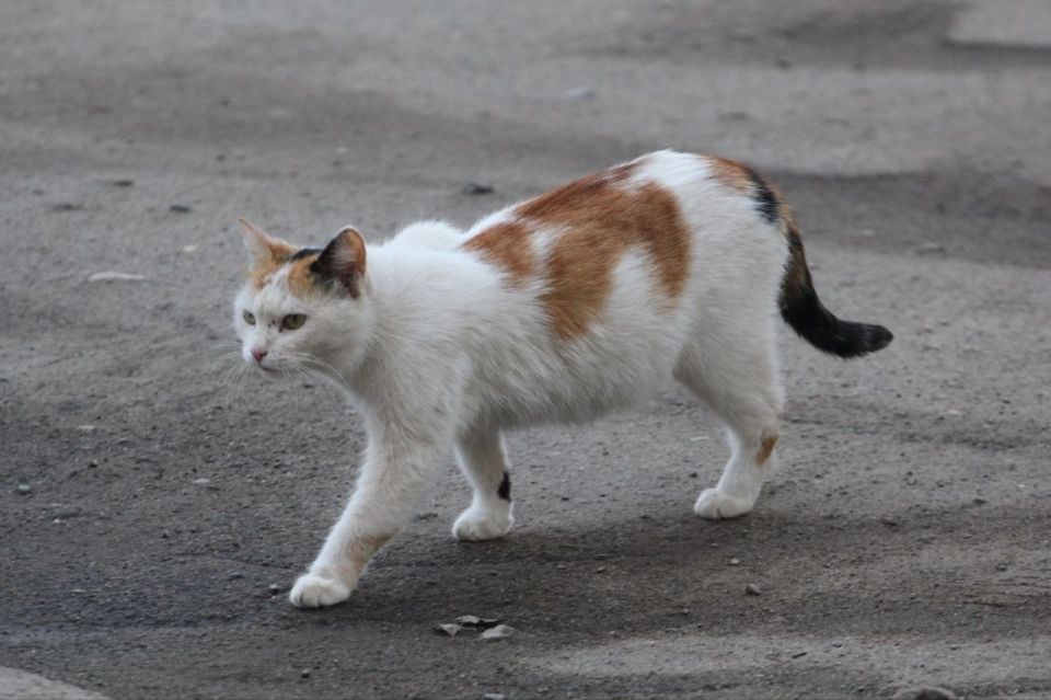 Погода в Костроме сделает первый осторожный шаг к весне