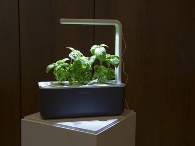 Как правильно выбрать светодиодные лампы для растений: развенчиваем мифы