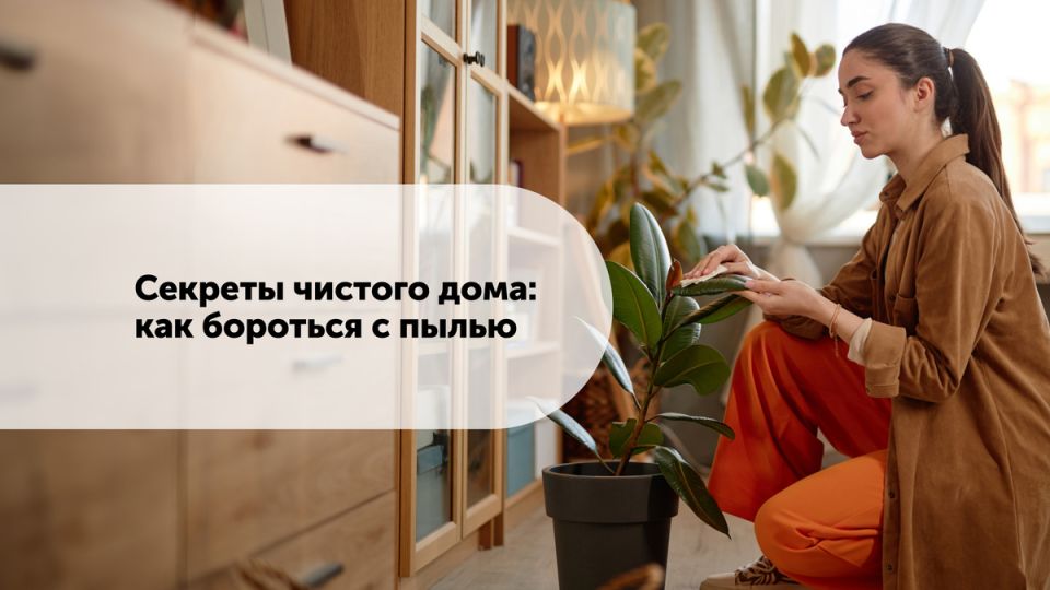 Эффективные методы борьбы с пылью в вашем доме