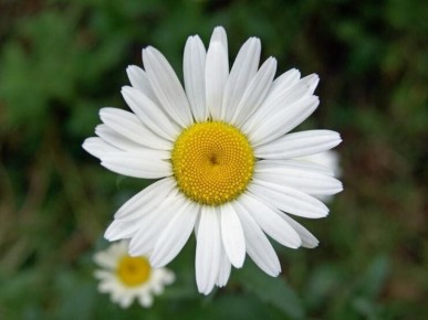 ������� ���: ����� ����� ���������� � ��� ���������