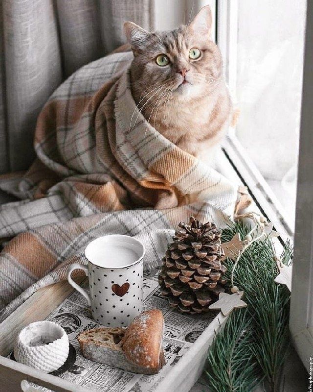 Секреты утреннего рая: как начать день с идеальной чашкой кофе