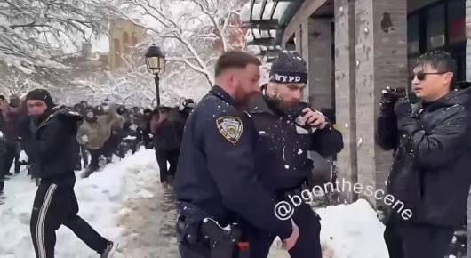 23 февраля 2026 года конфликт в Вашингтон-сквер-парке перерос в то, что представители полиции и Ассоциации детективов описали как «нападение на сотрудников полиции Нью-Йорка в форме во время захвата территории городской...