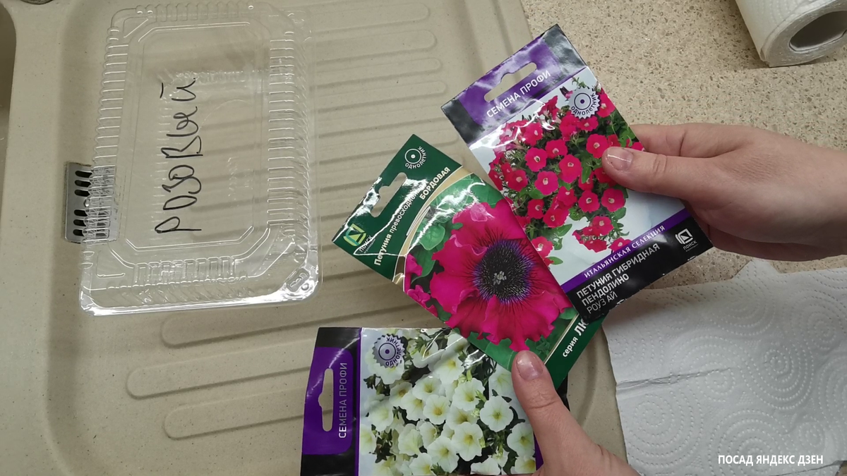 Как правильно прорастить петунии в гранулах: советы для садоводов