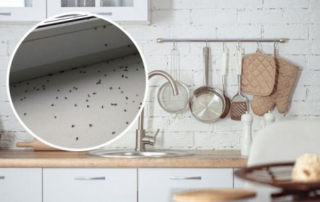 ����������� ������� ������ � ������� �� �����: �������� �������