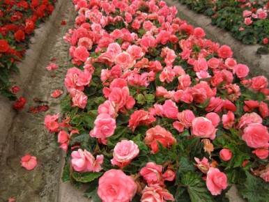 �����, ������� ����� �������� �� ������� � ����� �������