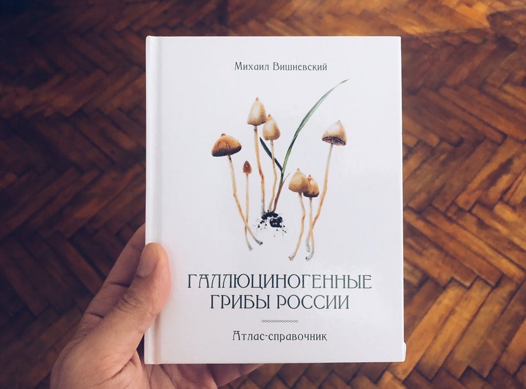 Мухоморный микродозинг: модный тренд или опасная игра?