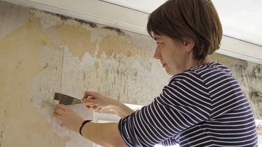 Как эффективно побороть плесень в квартире: от профессиональных средств до проверенных народных рецептов