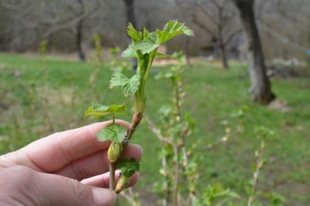 ��� ��������� ���������� ��������� ����� ��������� � ������