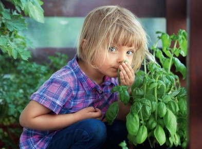 ������� ��������: ������� ����� �������� ���� ��� ������ ����