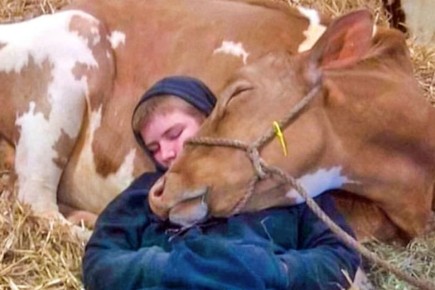 ����������, ������� ������� �� ������� ����