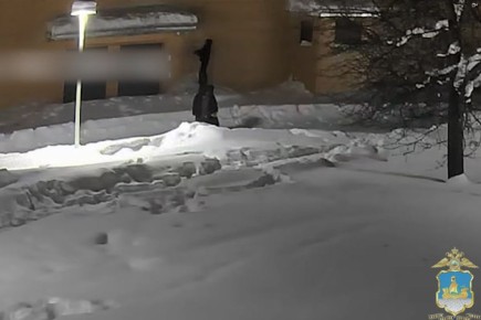 � ������������� ����������� �� ������� ������ �������� �����������