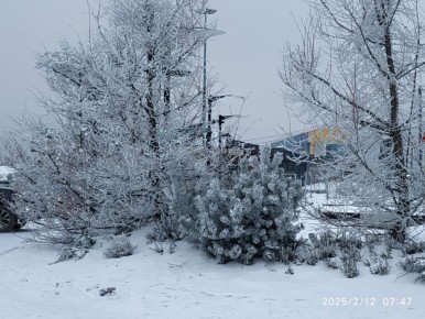 ��� �������� ������� ���������� ������ ������: ������ ��������� � ��������