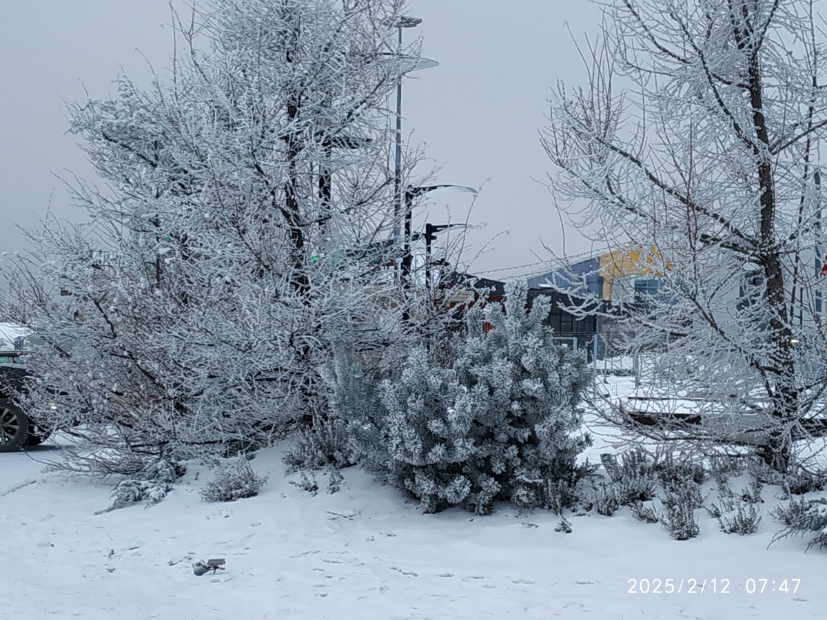 Как народные приметы предвещают погоду весной: советы садоводам и дачникам